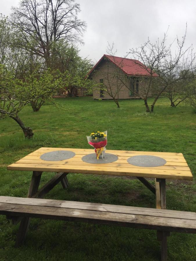 Holiday House Ausekla Namins Цесіс Екстер'єр фото