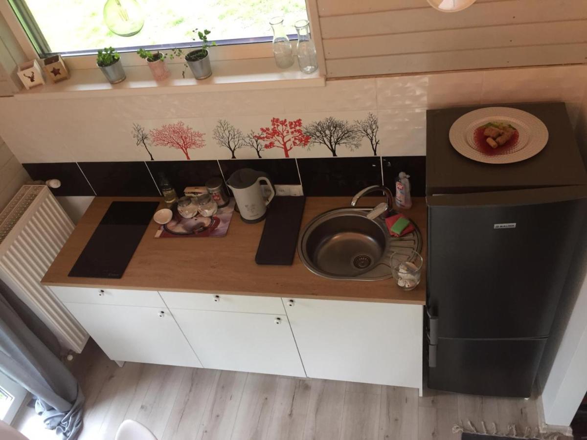 Holiday House Ausekla Namins Цесіс Екстер'єр фото