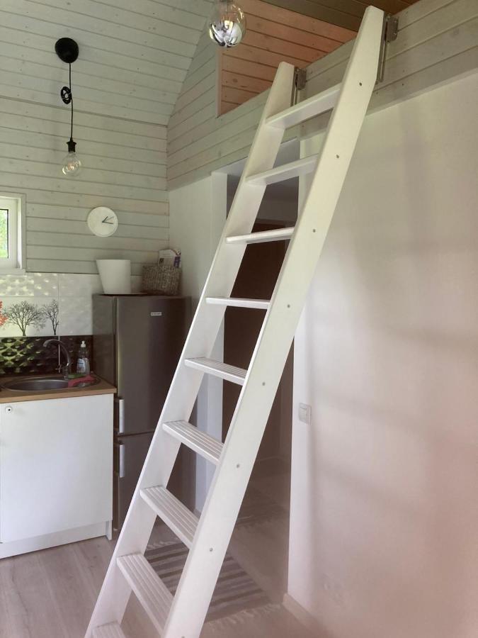 Holiday House Ausekla Namins Цесіс Екстер'єр фото