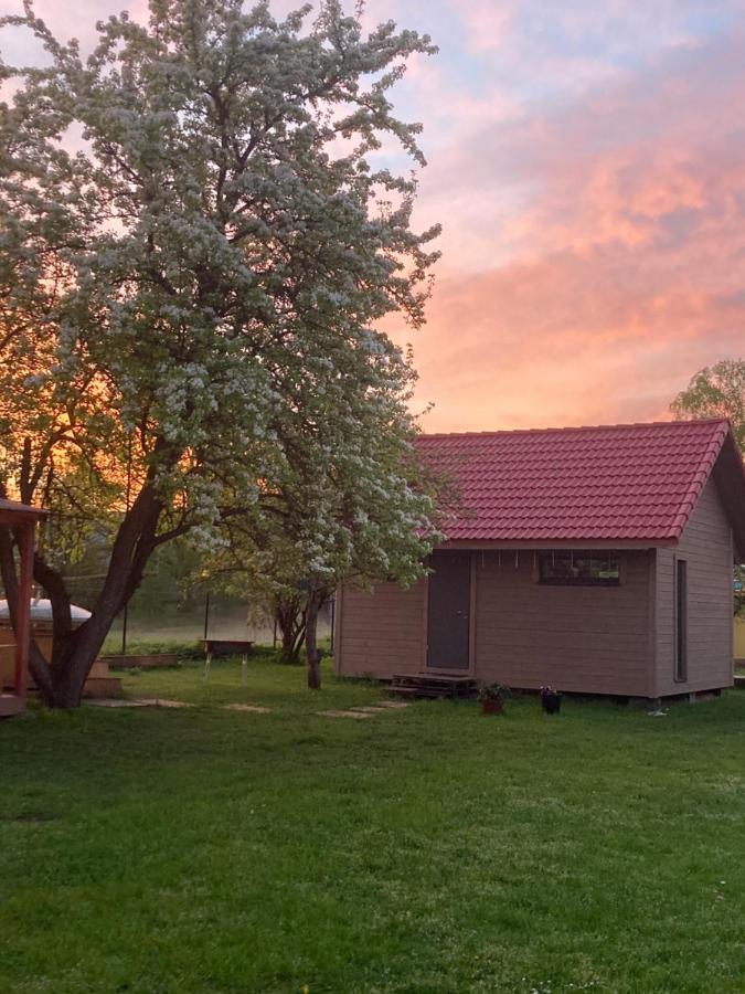 Holiday House Ausekla Namins Цесіс Екстер'єр фото
